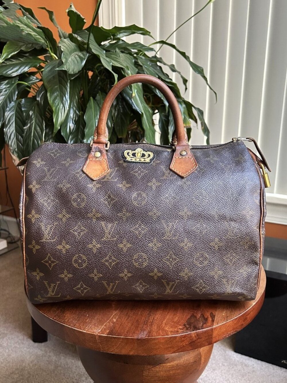 LOUIS VUITTON Monogram Speedy 30